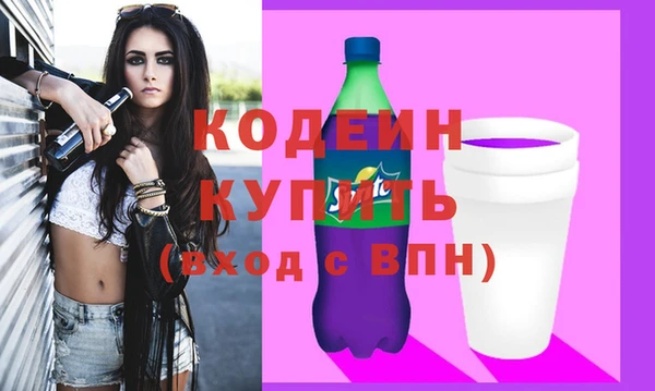 дмт Инта