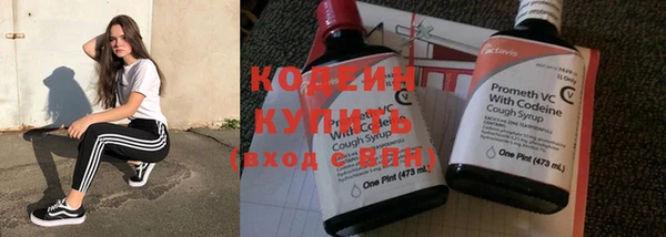 прущие крисы Инсар