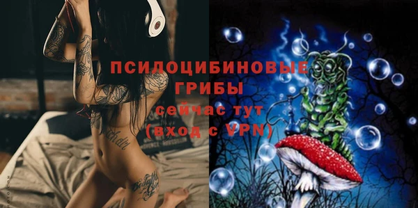 дмт Инта