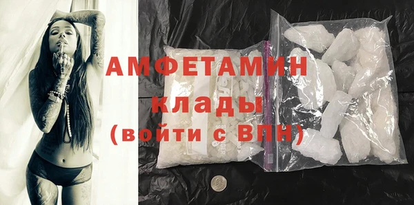 дмт Инта