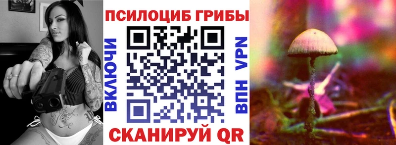 Купить где  Пролетарск  Галлюциногенные грибы MAGIC MUSHROOMS 